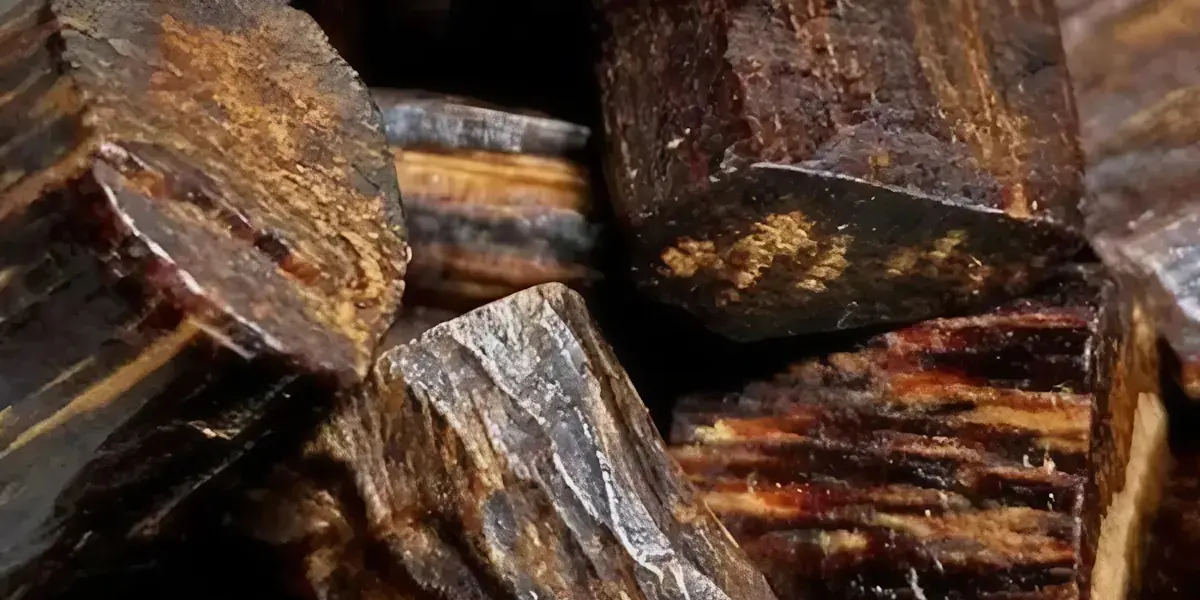 Самое дорогое дерево в мире: кинам